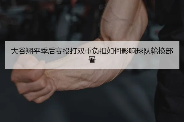 da-gu-xiang-ping-ji-hou-sai-tou-da-shuang-chong-fu-dan-ru-he-ying-xiang-qiu-dui-lun-huan-bu-shu-2-351.jpg
